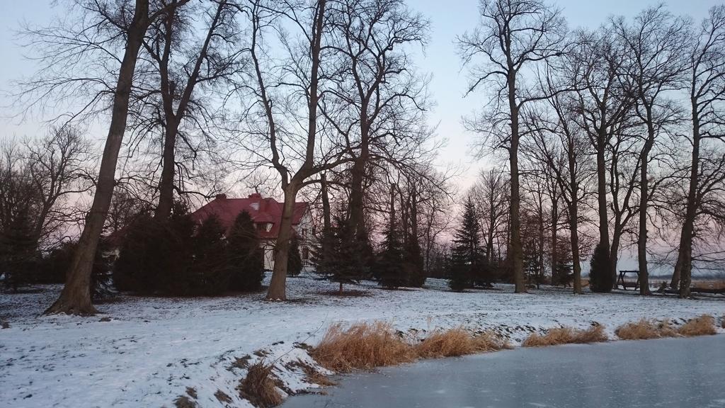 Bed and Breakfast Dwor Osmolice Bialki Dolne Экстерьер фото