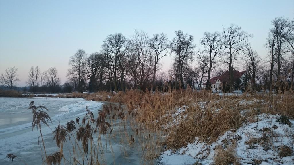 Bed and Breakfast Dwor Osmolice Bialki Dolne Экстерьер фото