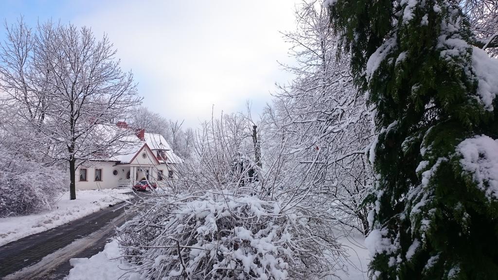Bed and Breakfast Dwor Osmolice Bialki Dolne Экстерьер фото