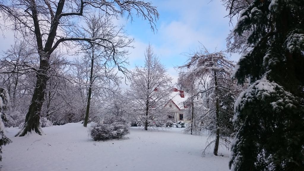 Bed and Breakfast Dwor Osmolice Bialki Dolne Экстерьер фото